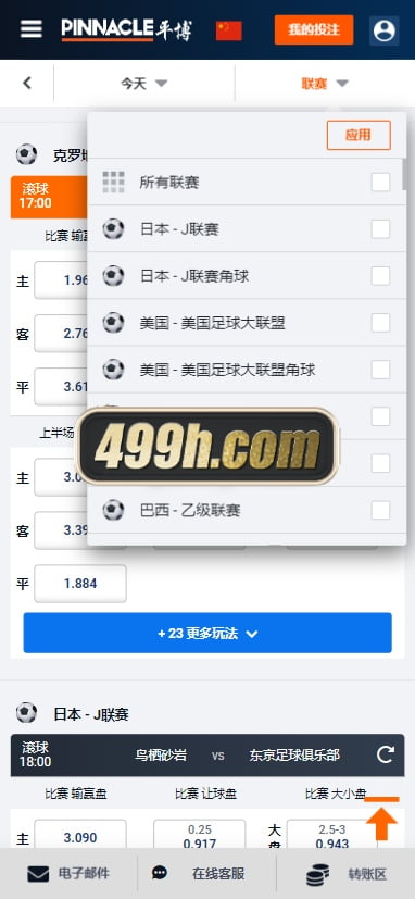 pinnacle体育源码 | USDT充值|中英泰国语言体育源码|运营版平博体育源码 商品图片 5